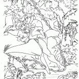 Tarzan i Jane