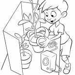 Lewis sędziów kwiaty