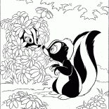 Skunks ukryj