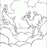 Deer walking