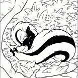 Skunk na wakacjach