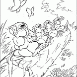 Zające są perkusji