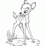 Bambi na łące