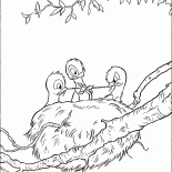 Gniazdo z pisklętami