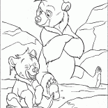 Koda i Kenai