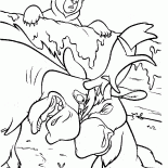 Elk i Kenai