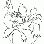 Mooses bawić