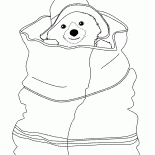 Niedźwiedź jest ukrywanie