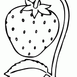 Truskawka