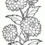 Dalia