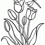 Tulipany