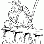 Flinta Parrot