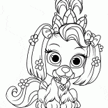 Puppy Rumianek