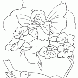 Dziewczyna Elf i ptaka