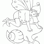 Fairy ślimak