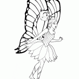 Motyl Fairy zaskoczony