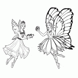 Mariposa i Katania