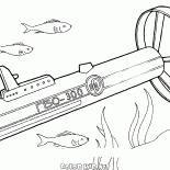 Morza i oceany sonar