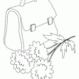 Dzień Wiedzy