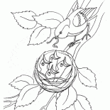 Pisklęta w gnieździe