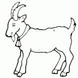 Koza - symbol roku