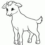 Tiny kozy