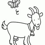 Koza z dzwonkiem na szyi