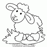Słodka Lamb