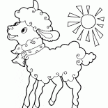 Owce z kokardką