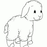 Mała owieczka na spacerze