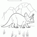 Triceratops