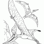 Pteranodon i pterodaktyl
