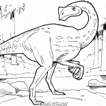 Kirostenot pergrasilis