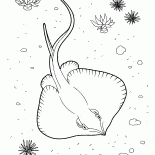 Scat polowania