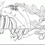 Fig i banan