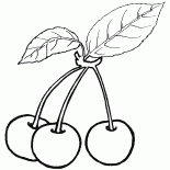 Wiśnie