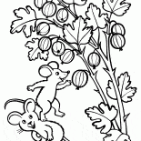 Agrest
