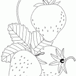 Truskawki