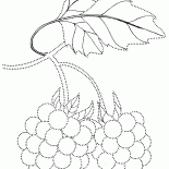 Rękodzieło jagody