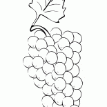 Kiść winogron