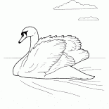 Łabędź