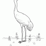 Dźwig