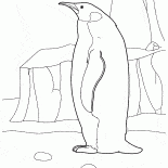 Penguin w Arktyce