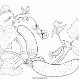 Ogórki