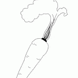 Marchew