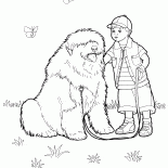 Krótko ucięty ogon