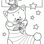 Marzenia się spełniają