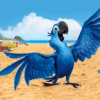 Rio